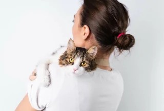 Curso Online Adestramento de Gatos