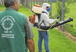 Curso Online Agente de Endemias