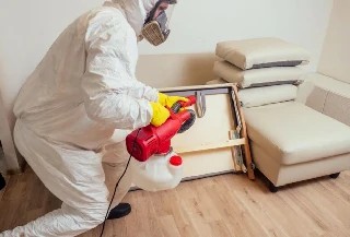 Curso Online Auxiliar de Dedetização