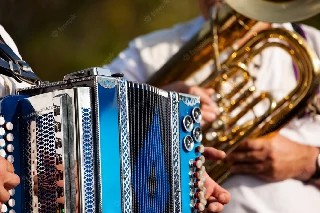 Curso Online Básico em Acordeon