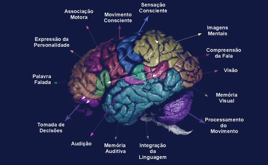 Curso Online Básico em Avaliação Neuropsicológica 