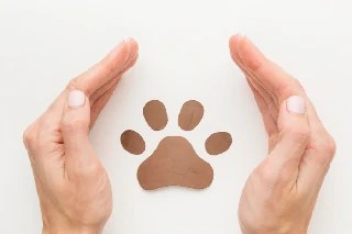 Curso Online Básico em Bem Estar Animal