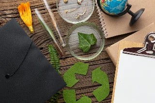 Curso Online Básico em Direito Ambiental