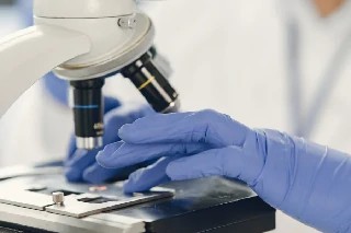 Curso Online Básico em Microscopia