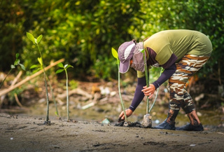 Ecologia e Conservação da Biodiversidade