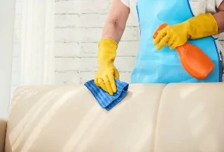 Curso Online Higienização de Sofás