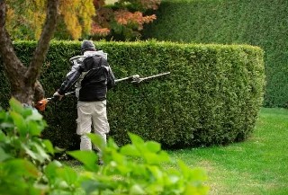 Curso Online Permacultura